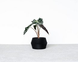 DISSIPAT indoor planter