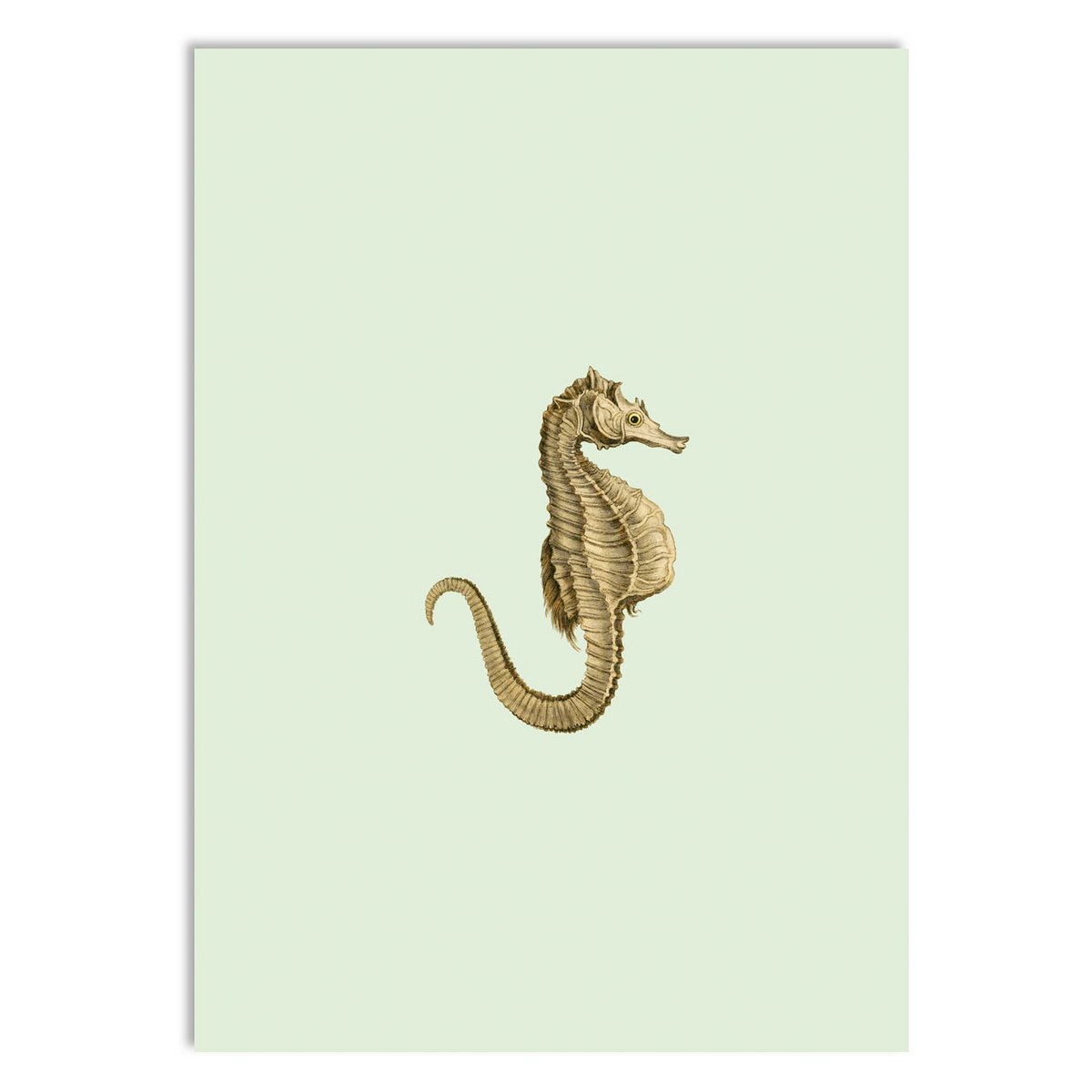 Miniprint A5 de cualquier manera