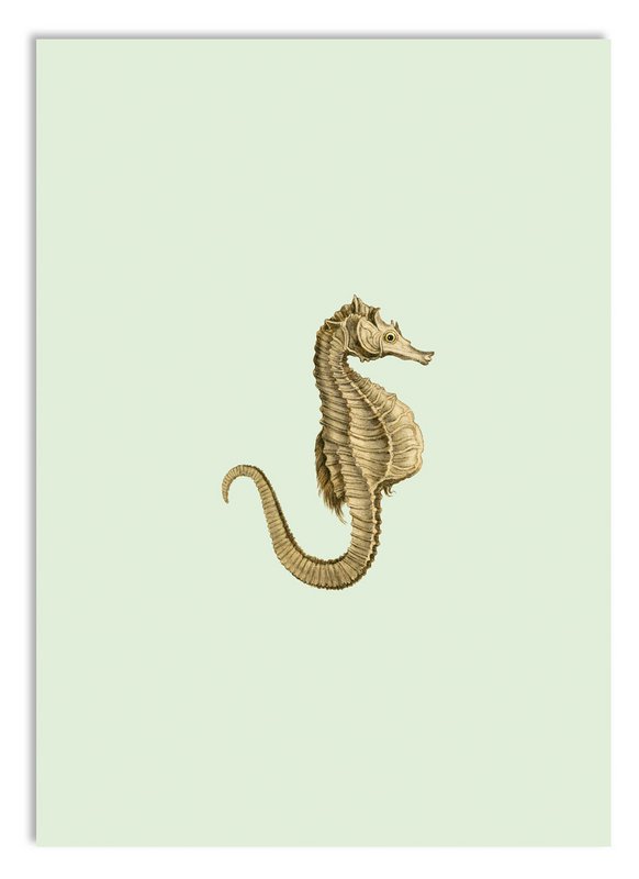 Miniprint A5 de cualquier manera