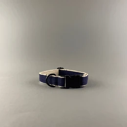Pawsome Pet Toys