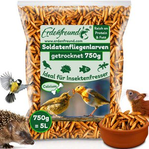 Soldier fly larvae dried 5l