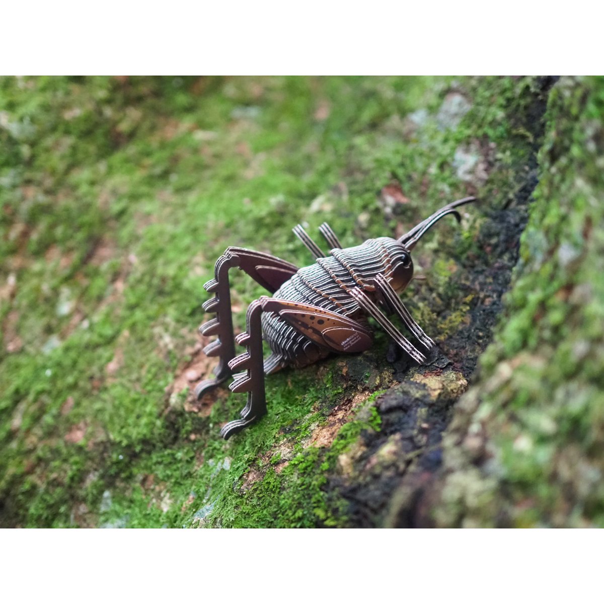 EUGY 3D Puzzle - Grasshopper