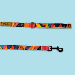 Laisse pour chien Panache