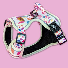 Petal Y Comfort Harness