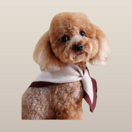 Chalky Pet bandana - Fransk Taupe