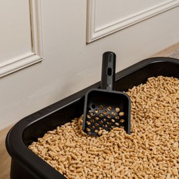 GIZMO Deluxe kattebakke