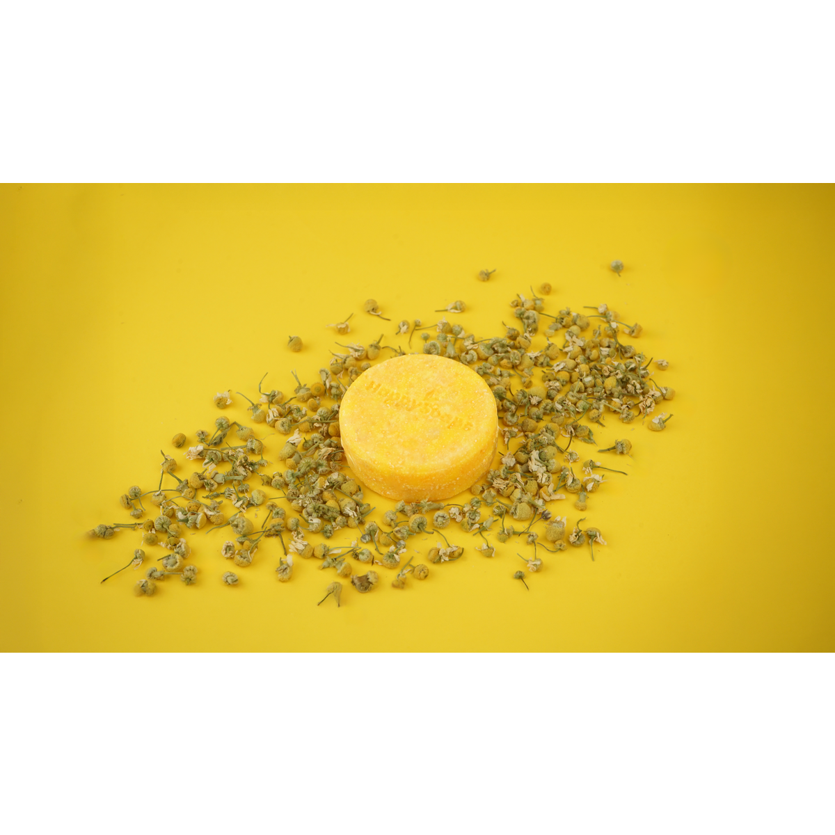 Shampoo Bar – Kamille Down & Carry On – Blondes Haar