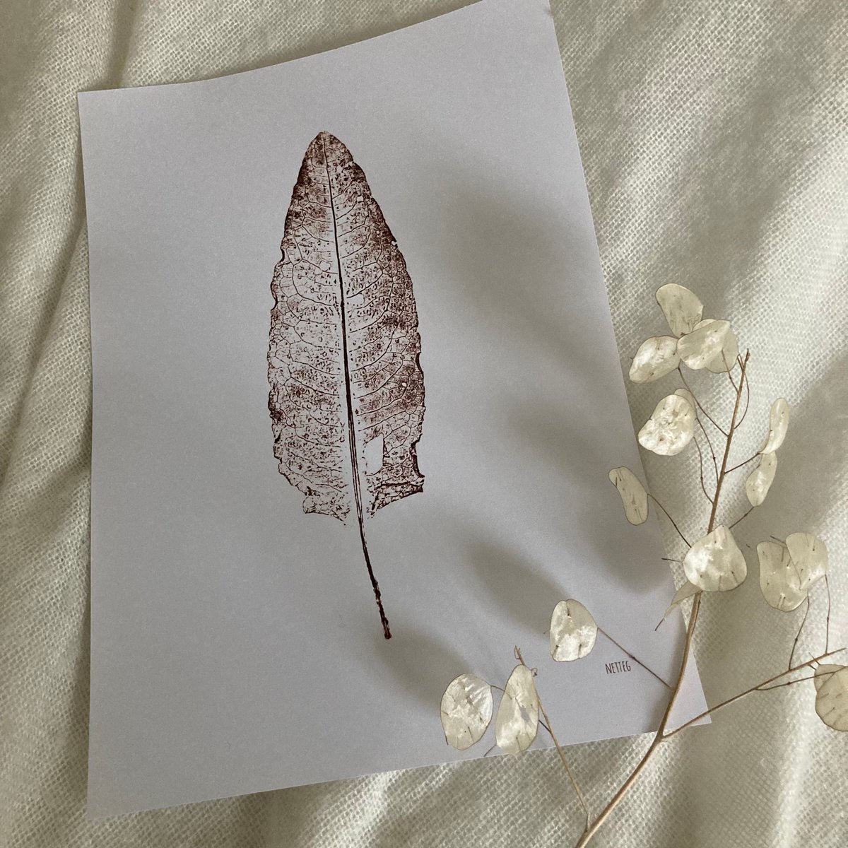 Poster monostampa blad II NETEG