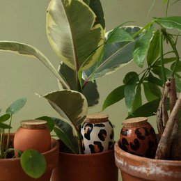 Trio Mini Pots - Les Léopards