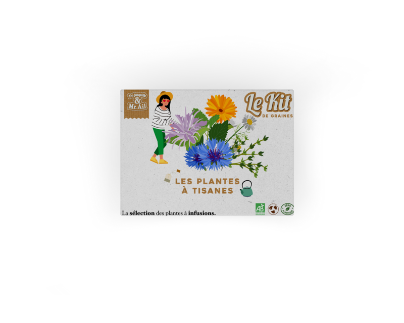 Piante Tisane - Kit giardinaggio tematico - Kit creativo - Fai da te - Regalo Natale