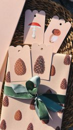 Geschenkpapier Zapfen