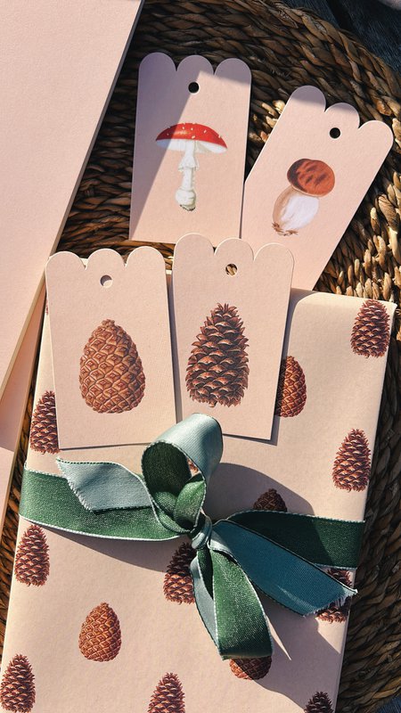 Geschenkpapier Zapfen