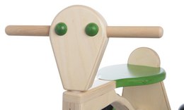 Van Dijk Toys Berken Houten Walking Bike From 1 Year - Green (Childcare Quality)