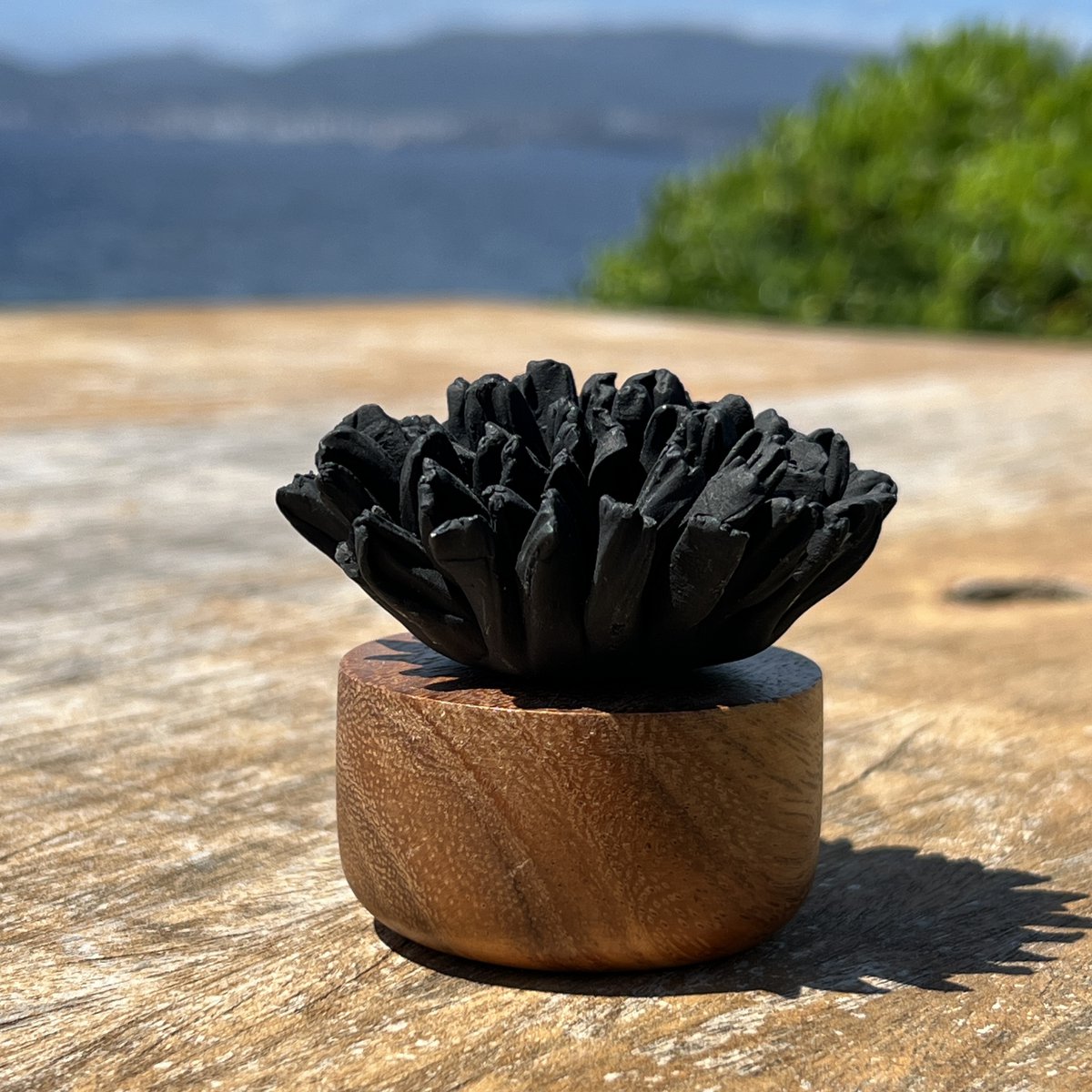 Perfume diffuser - Japan - Black eyelet