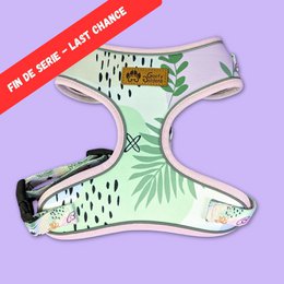 Pastel Classic Harness