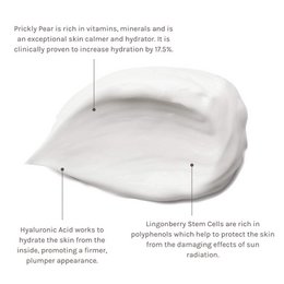 Climate Defense Facial cream spf 30