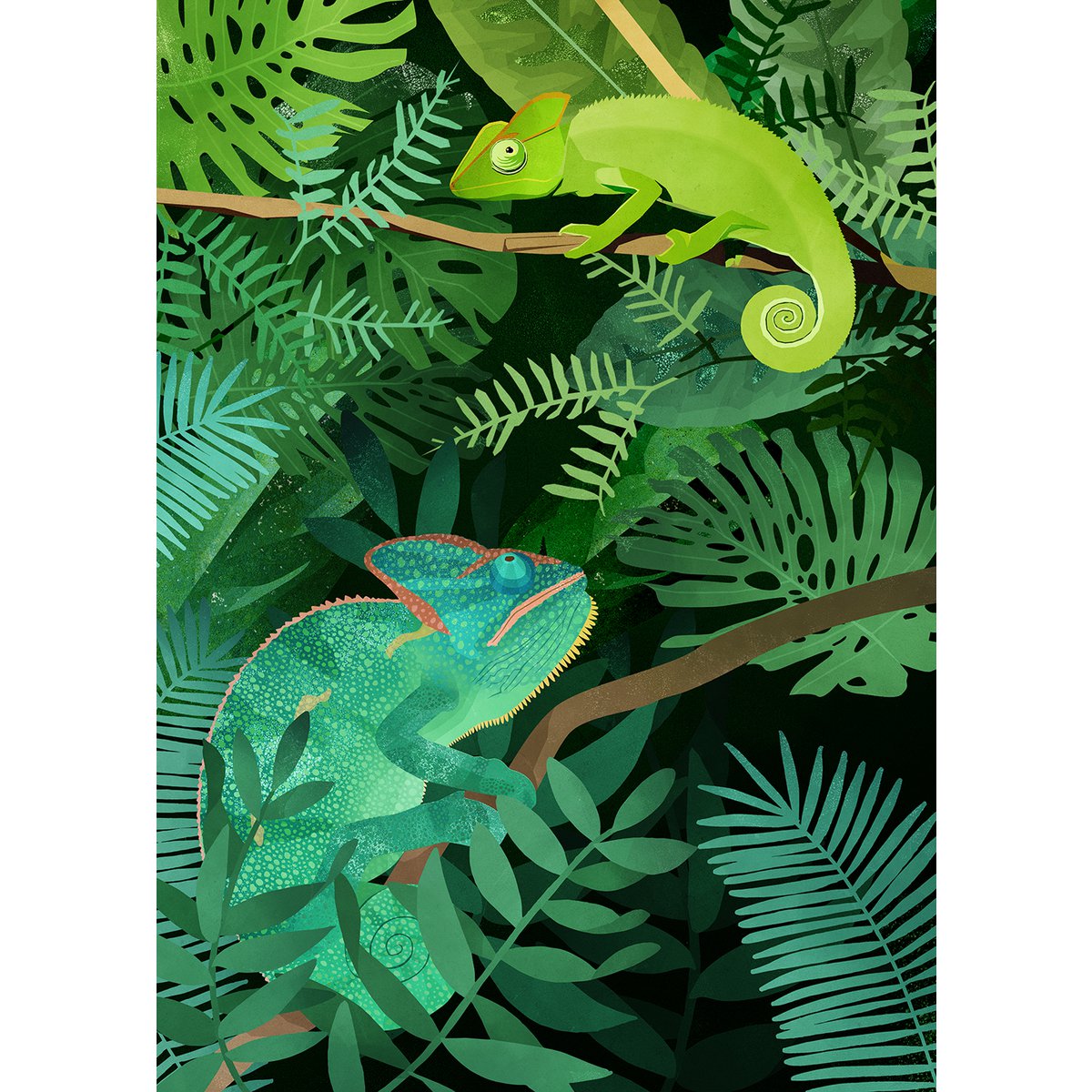 Poster - Chameleons