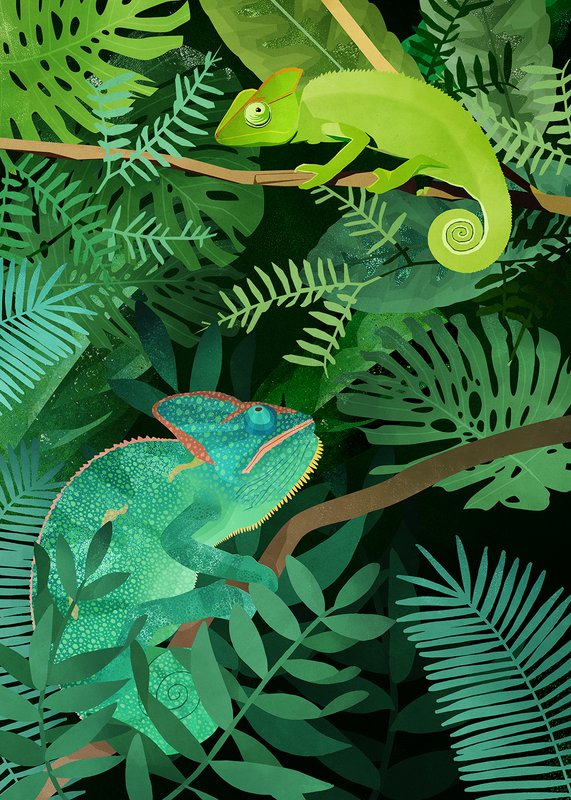 Poster - Chameleons