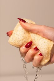 Scouring pad (in a set)