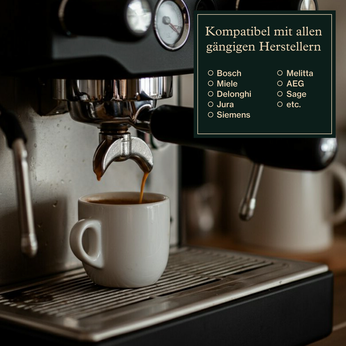 Rengøringstabletter til fuldautomatiske kaffemaskiner (40x2,5 g)