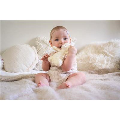 Kuscheltier - Lamm