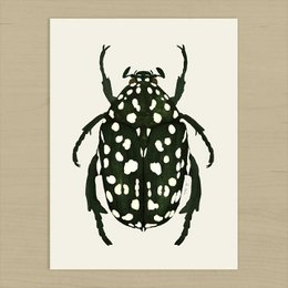 Grøn Beetle kunsttryk