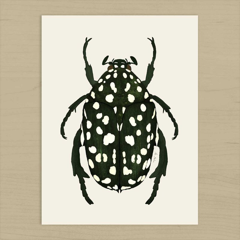 Grøn Beetle kunsttryk
