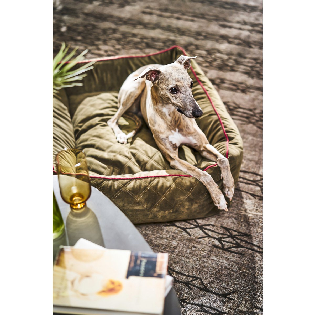 OXFORD I CLASSICO HUNDEBETT