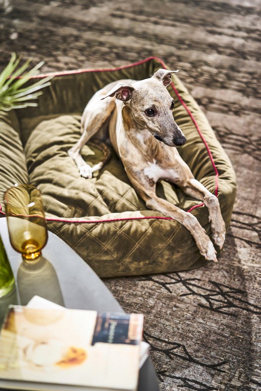 OXFORD I CLASSIC HUNDEBETT