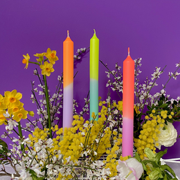 Dip Dye Neon * Pastel Tulips