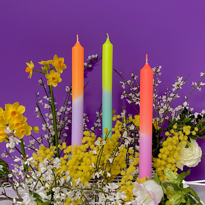 Dip Dye Neon * Pastel Tulips