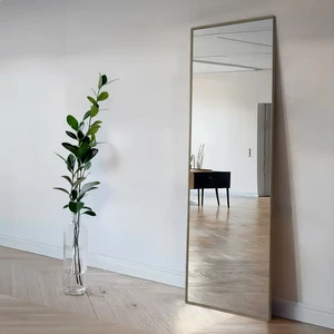 Grote Passpiegel Mara Taupe Slank Staal