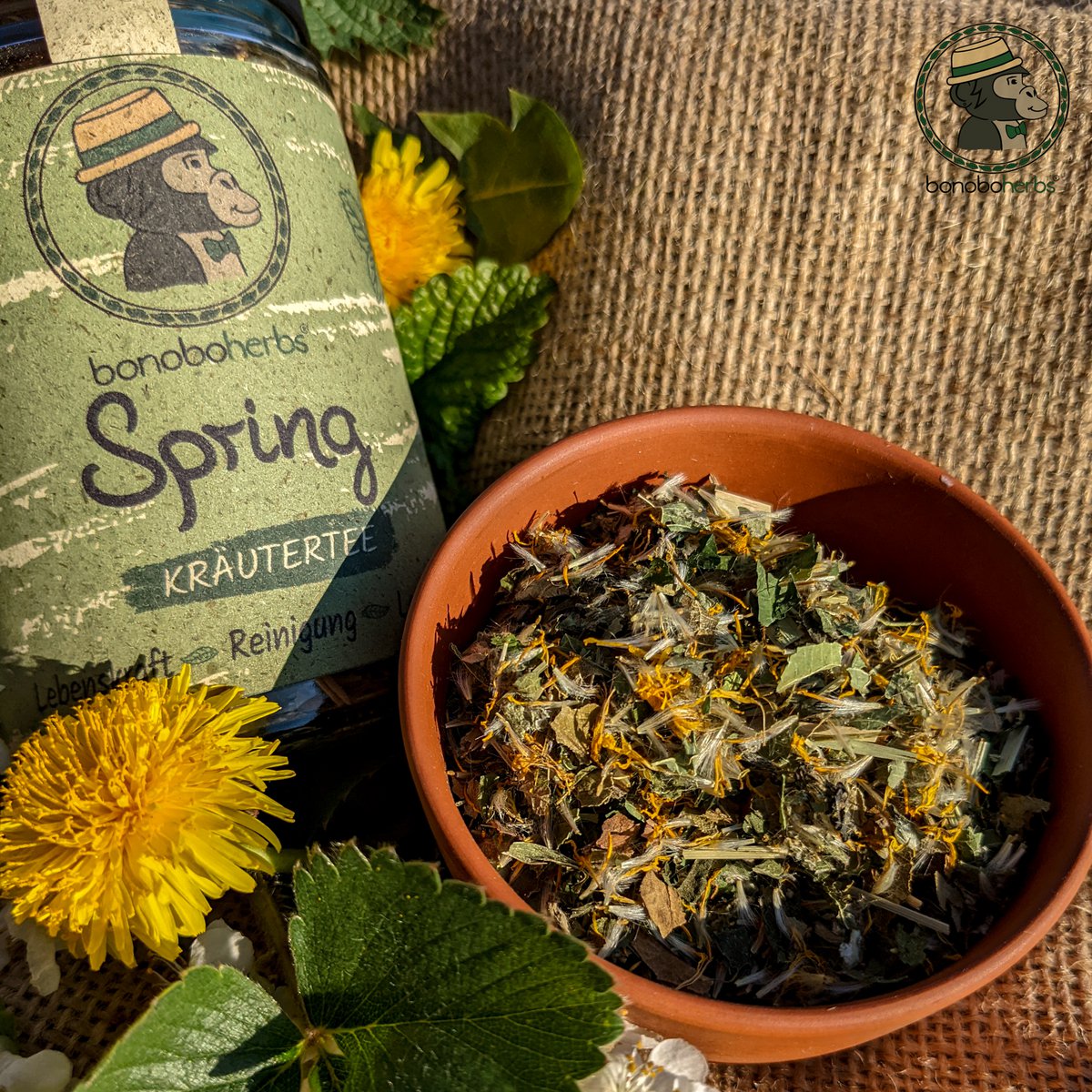 Limpieza con infusiones de primavera