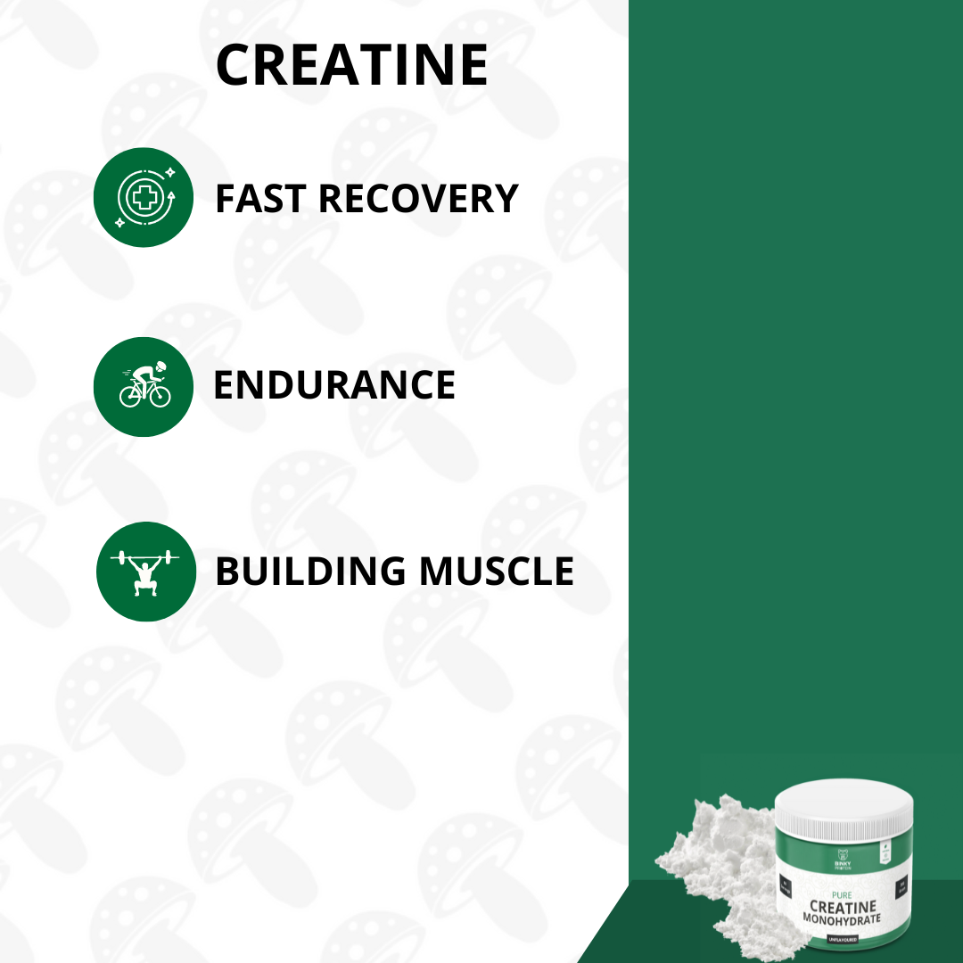 Morningboost 2.0- Brainbooster