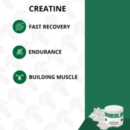 Morningboost 2.0 – Brainbooster