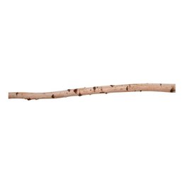 2 troncs de bouleau - 50x6cm
