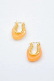 Stainless steel earrings