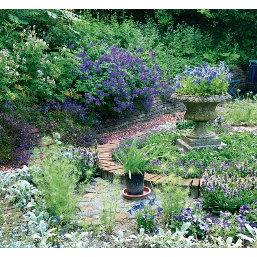 Stauder i haven. Designideer til evigt blomstrende bede