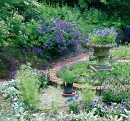 Stauder i haven. Designideer til evigt blomstrende bede