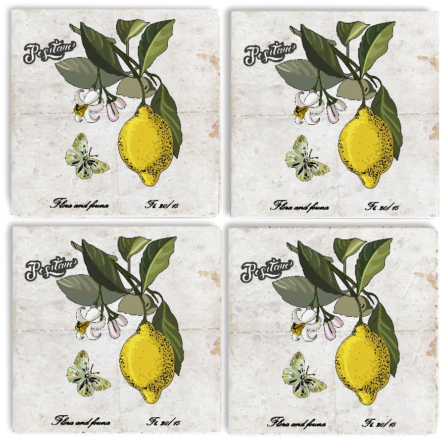 Stone Coaster Sæt - Citrus