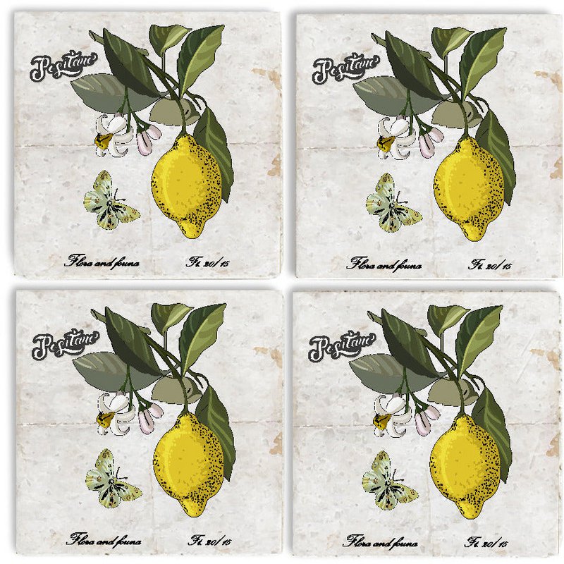Stone Coaster Sæt - Citrus
