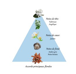AMAZING JASMINE Oil parfume til kvinder 10ml