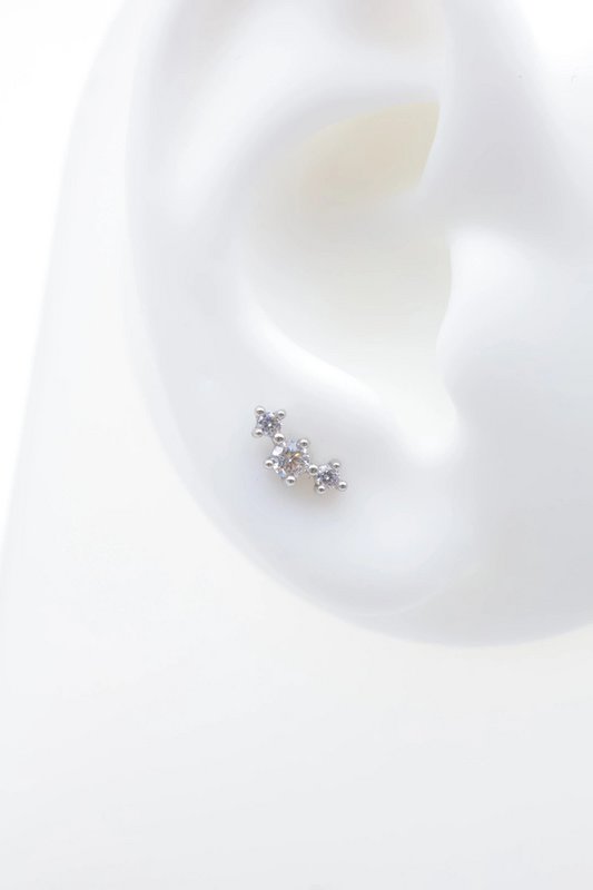 Roestvrijstalen piercings