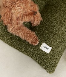 Hundesengehynde i grønt fåreskind, Bela