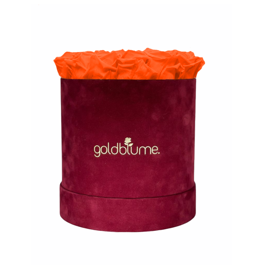 Collection Velours Bordeaux