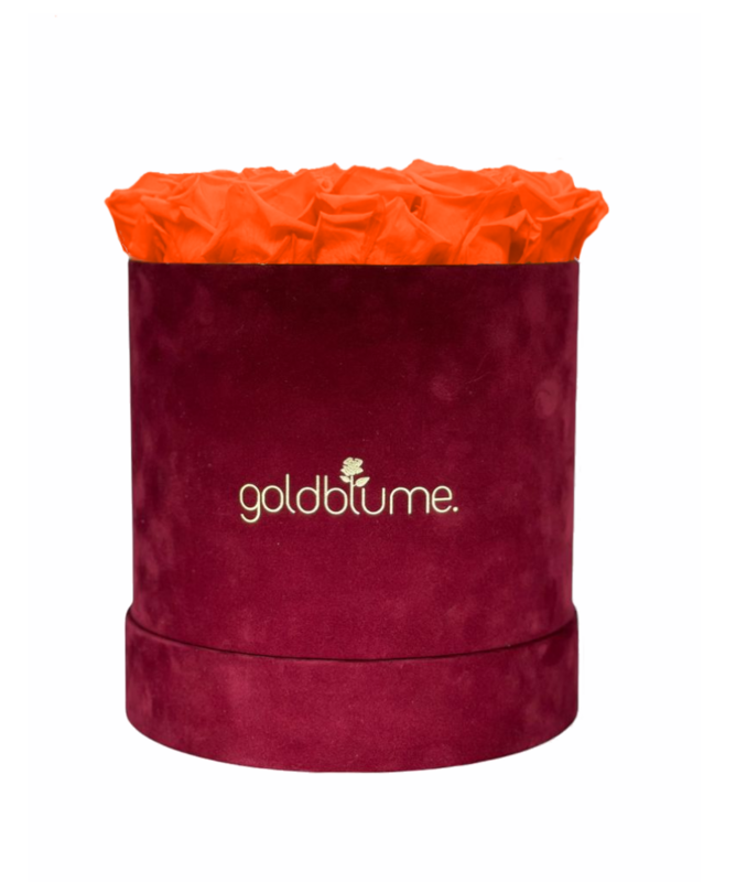 Velvet Bordeaux Collection