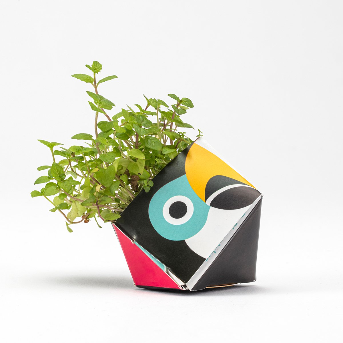 1 OriBon+ - Colección de animales de la selva tropical