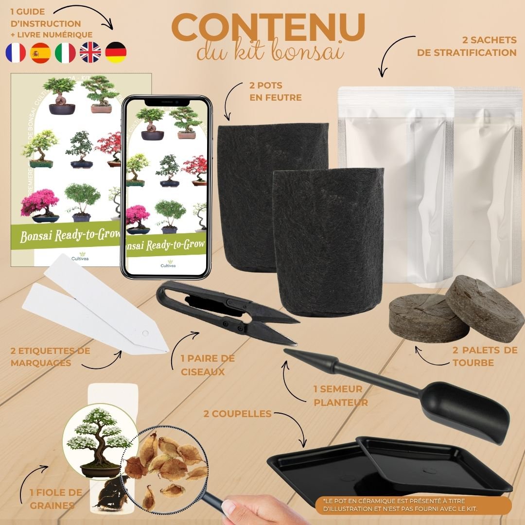 Cultivea - Kit First Bonsai - Kit de première culture de bonsaï avec accessoires | Idée cadeau Originale