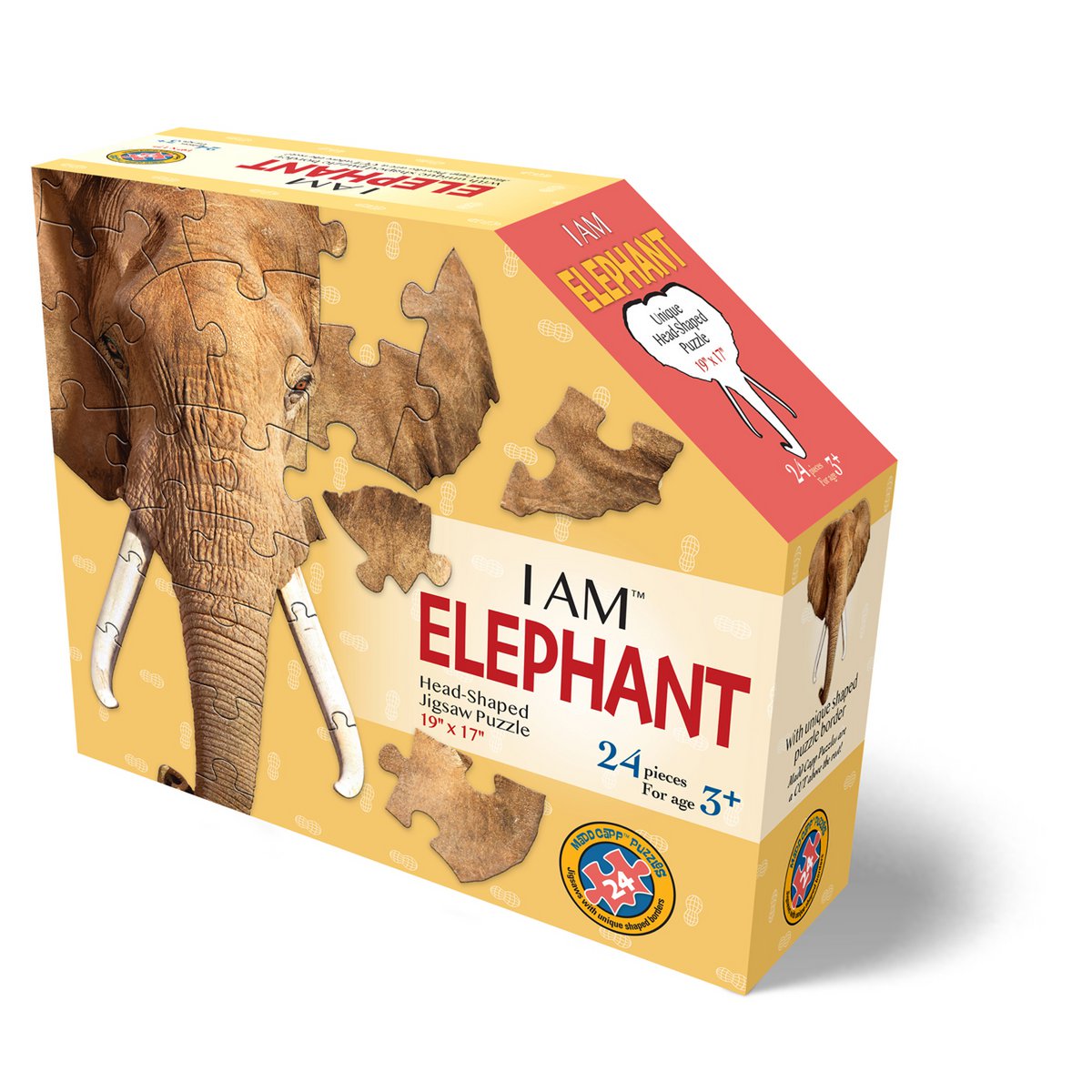 I Am Preschool - Olifant