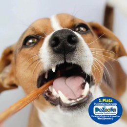 Hund snack hund paghetti 60g x 20